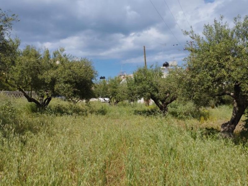 Kalyves Kreta, Kalyves: Erstaunliches Grundstück im Zentrum von Kalyves zum Verkauf Grundstück kaufen
